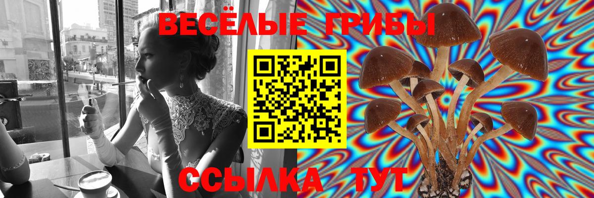 Псилоцибиновые грибы прущие грибы  Вход с VPN  Псилоцибиновые грибы Psilocybine cubensis  Мичуринск 