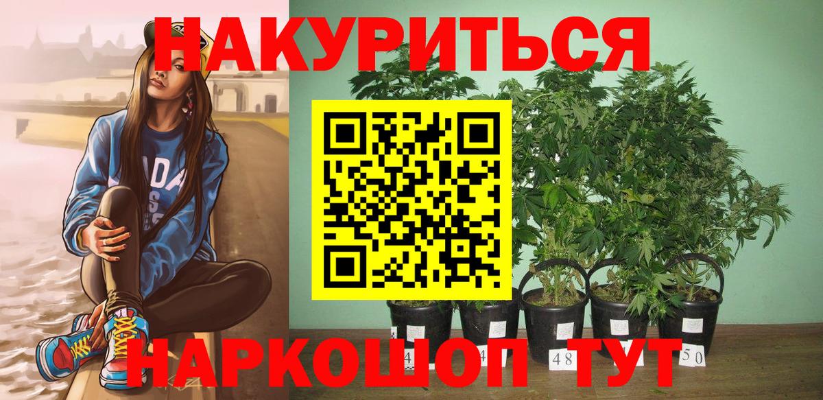 МАРИХУАНА планчик  Марихуана гибрид  Мичуринск  Вход с VPN 